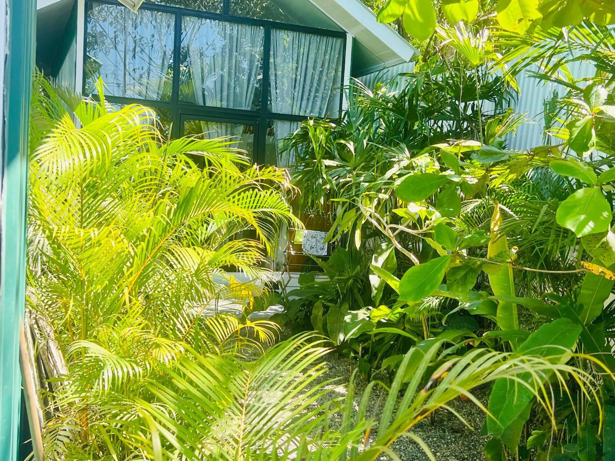 Guest House Pura Vida Quepos Exterior photo